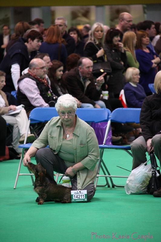 Crufts2011_2 1211.jpg